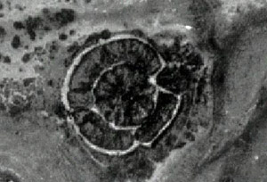 Аэрофотоснимок Аркаима.